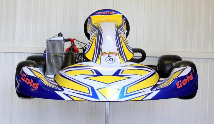 NIEUWE GOLDKART met Rotax Senior EVO II Motor, Sport en Fitness, Karting, Nieuw, Kart, Ophalen