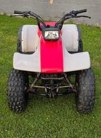 Yamaha Breeze 125cc, Motoren