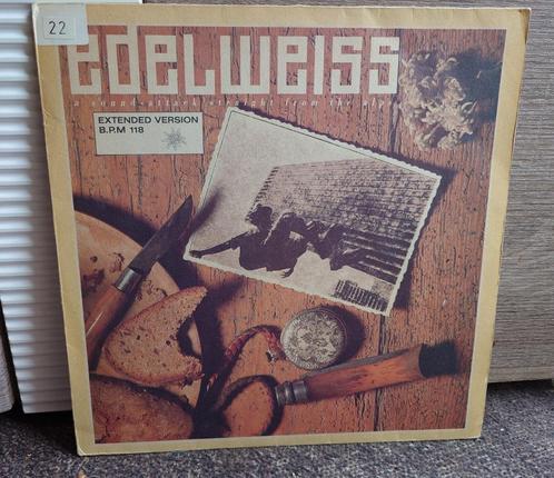 delweiss – A Sound Attack Straight From The Alps (12'' Viny, Cd's en Dvd's, Vinyl | Pop, Verzenden