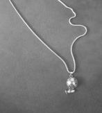 S'steel nieuw zilverkleur ketting + hanger voetbal kleurvast, Kinderen en Baby's, Kindermode-accessoires, Ophalen of Verzenden