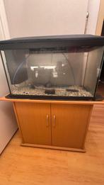 Vis aquarium, Dieren en Toebehoren, Ophalen of Verzenden, Gebruikt