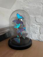 Stolp vlinders, Ophalen of Verzenden, Gebruikt