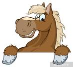 Weide gezocht, Stalling, 2 of 3 paarden of pony's
