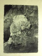 53903 - GROTTES DE HAN S/LESSE - LE TROPHEE, Enlèvement ou Envoi