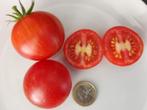 5 zaden gestreepte tomaat Tigerella, Tuin en Terras, Verzenden, Voorjaar, Volle zon, Zaad