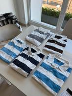 5 polo’s XL, Ophalen, Zo goed als nieuw, Maat 56/58 (XL)