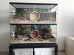 Hamsterkooi Kopen? Kies voor een Glazen Terrarium, Minder dan 60 cm, Nieuw, Ophalen of Verzenden, 75 tot 110 cm