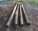 Palen voor leibomen of dergelijke. 4m, 4,70m, 5m, 5m, Tuin en Terras, Ophalen, Zo goed als nieuw, 250 cm of meer, Palen