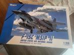 Maquette avion F-15C GWH Etat Neuf 1/48, Hobby & Loisirs créatifs, Modélisme | Avions & Hélicoptères, Enlèvement ou Envoi, Neuf
