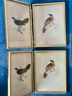 SISSYBOY fotolijstjes, Ophalen of Verzenden