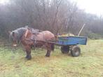 Tombereau Charette Barot, Gebruikt, Overige typen, Paard of Pony