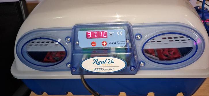 Borotto Real 24 broedmachine +automatische vochtmodule, Dieren en Toebehoren, Pluimvee | Toebehoren, Zo goed als nieuw, Broedmachine