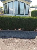 stacaravan willerby Aspen 12 m x3.75m lang ZEER RUSTIG, Tot en met 2