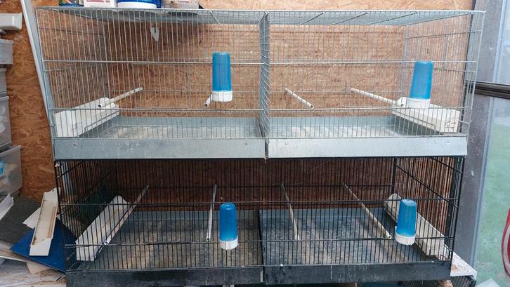 draadkooien 120 cm, Dieren en Toebehoren, Vogels | Parkieten en Papegaaien