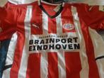 Psv maat L, Maat L, Ophalen of Verzenden, Nieuw