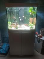 AQUARIUM(200L) + KAST, Dieren en Toebehoren, Vissen | Aquaria en Toebehoren, Ophalen, Zo goed als nieuw