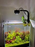 Kessil A360X Tuna Sun aquarium lamp & dongle & reflector, Enlèvement ou Envoi, Utilisé, Éclairage ou Chauffage