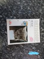 artiscoop junior de kat, Enlèvement ou Envoi, Comme neuf