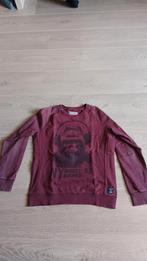 Rode/bordeau trui, Ophalen of Verzenden, Nieuw, Jongen, Trui of Vest
