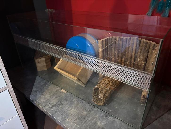 Terrarium, Animaux & Accessoires, Rongeurs & Lapins | Cages & Clapiers, Comme neuf, Hamster, Enlèvement