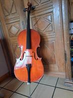 Violoncelle 1/2, Musique & Instruments, Instruments à cordes frottées | Violoncelles, Enlèvement, Utilisé, Violoncelle 1/2, Avec valise