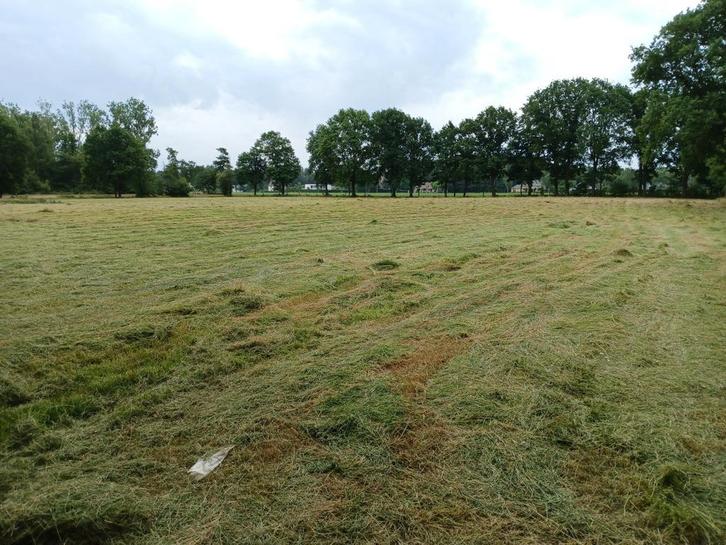 GEZOCHT:Weiland, Dieren en Toebehoren, Stalling en Weidegang