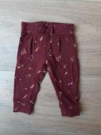 Broekje Noppies - maat 62, Kinderen en Baby's, Babykleding | Maat 62, Broekje, Meisje, Ophalen of Verzenden, Zo goed als nieuw
