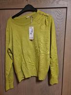 Trui esqualo maat xl nieuw, Neuf, Taille 46/48 (XL) ou plus grande, Enlèvement ou Envoi, Esqualo