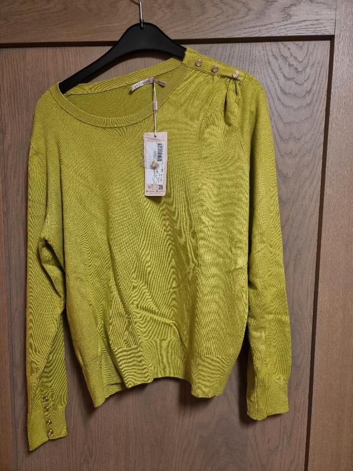 Trui esqualo maat xl nieuw, Kleding | Dames, Truien en Vesten, Nieuw, Maat 46/48 (XL) of groter, Groen, Ophalen of Verzenden