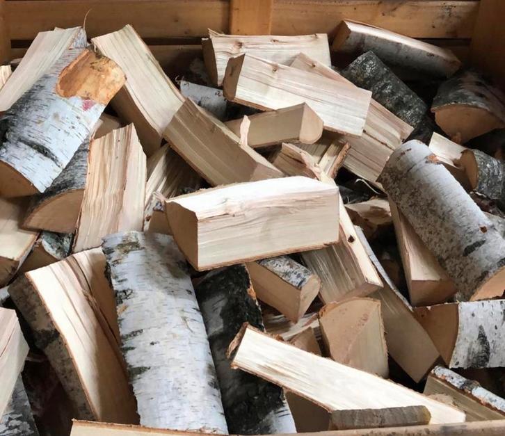 Berken haardhout. Droog. Gelijk te stoken, Jardin & Terrasse, Plantes | Arbres, Enlèvement ou Envoi