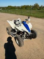 Yamaha 350 raptor, Motoren