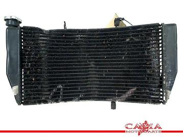 RADIATEUR CBR 954 RR Fireblade 2002-2003 (CBR900RR SC50), Motoren, Gebruikt