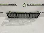 Bumpergrille BMW 5 Serie F10 F11 NIEUW ORIGINEEL 51117285950, Auto-onderdelen, Gebruikt, Ophalen of Verzenden, BMW, BMW