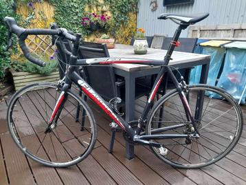 Koersfiets Flanders SR1 XL beschikbaar voor biedingen