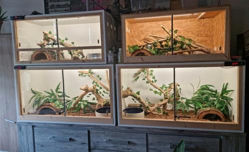 4 terrariums complets à vendre avec 4 PR 3 ans., Dieren en Toebehoren, Reptielen en Amfibieën | Toebehoren, Zo goed als nieuw