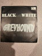 Greyhound. Black and White. Sand in your shoes Fontana, Ophalen of Verzenden, Zo goed als nieuw