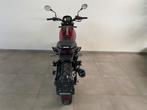 Benelli Leoncino 500, Entreprise, 2 cylindres, 499 cm³, Permis Moto A2 minimum