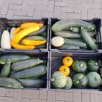 Courgette, Diversen, Ophalen, Nieuw