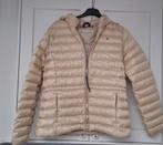 Tommy Hilfiger, maat M. Dames. model 2024, Ophalen of Verzenden, Zo goed als nieuw