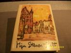 Boek - Mijn Stenen Hart - Bert Peleman, Ophalen of Verzenden, Gelezen, Architectuur algemeen, Bert Peleman