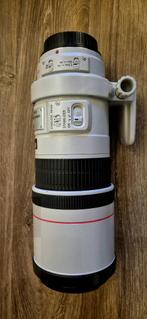 Canon EF 300mm f/4L IS USM – Objectif Série L, Ophalen, Zo goed als nieuw, Standaardlens