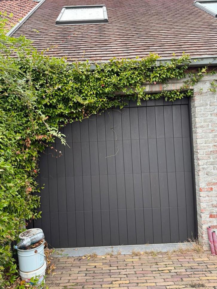 Hormann lpu 67 rc2 met motor 2 stuks, Tuin en Terras, Tuinpoorten, Hout, Ophalen