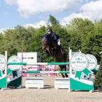 Ideale leermeester, ZZ, 11 ans ou plus, Hongre, Cheval de saut