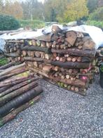 bois de chauffage, Jardin & Terrasse, 6 m³ ou plus, Enlèvement, Chêne, Bûches
