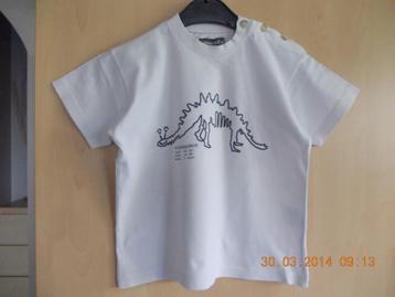 Tshirts, verschillende Merken. maat 110. Jongen. beschikbaar voor biedingen