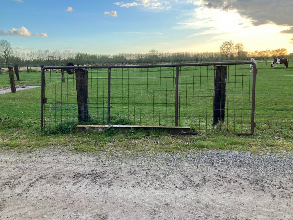 Weidehek met paal, 5m lang, 1,6m hoog