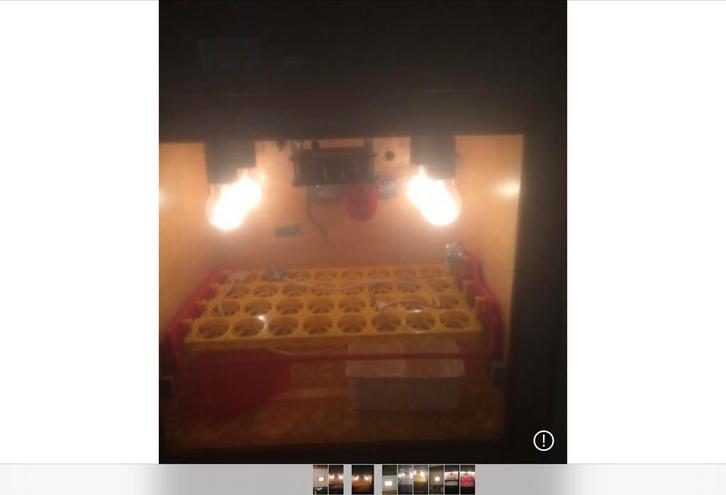 Broedkast, Dieren en Toebehoren, Pluimvee | Toebehoren, Zo goed als nieuw, Ophalen