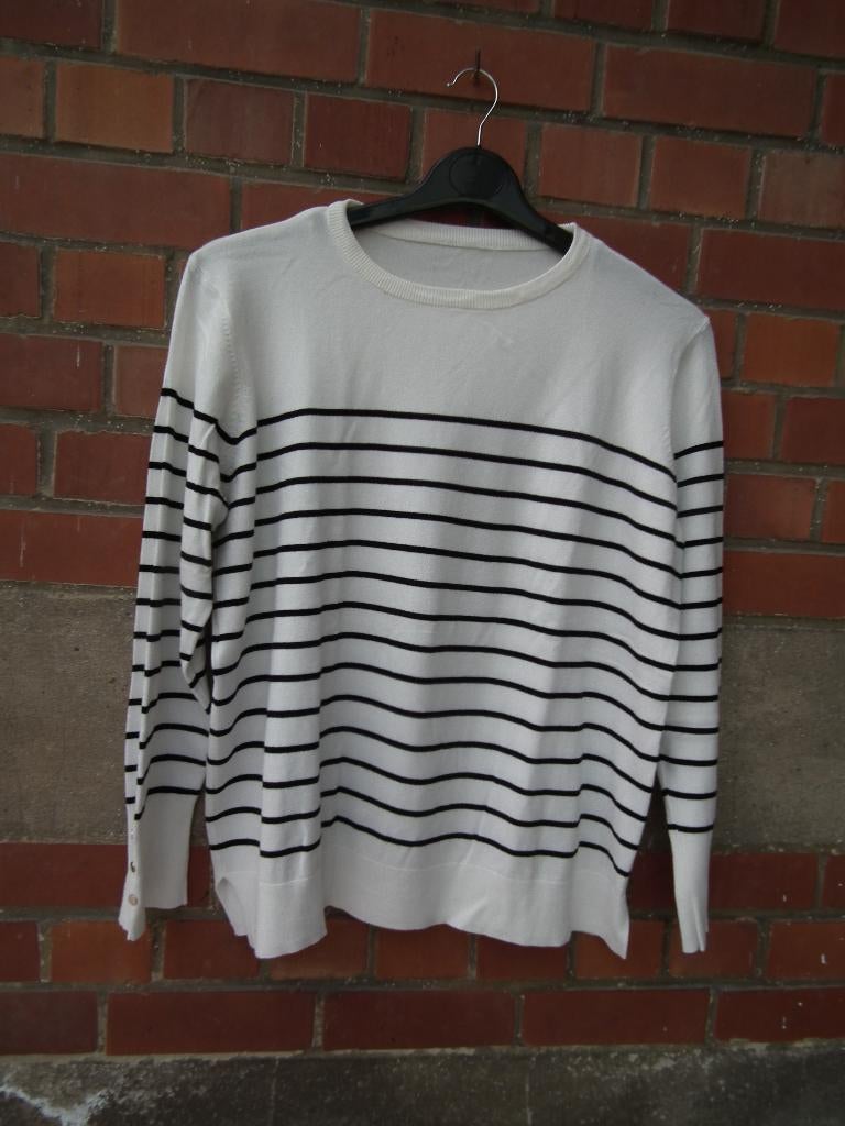 Gestreepte damestrui (schouderbreedte 46 cm), Kleding | Dames, Truien en Vesten, Overige kleuren, Maat 46/48 (XL) of groter, Zo goed als nieuw
