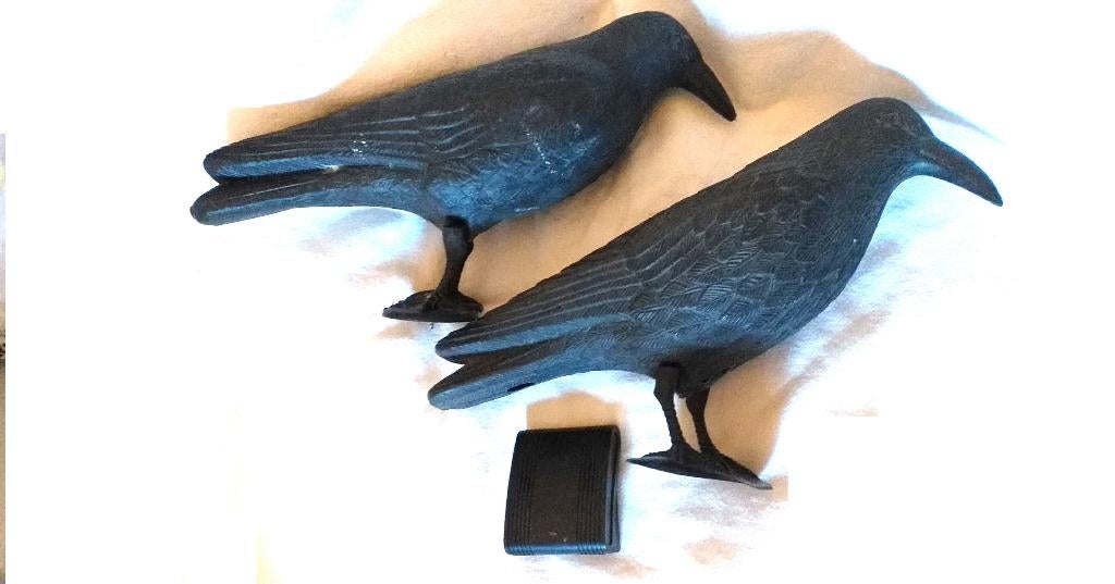 Répulsif à ultrasons + Corbeau Anti Pigeons en Plastique, Animaux & Accessoires, Envoi
