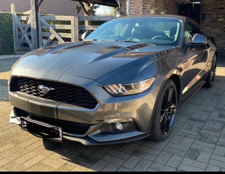 Ford mustang 2.3 ecoboost, Auto's, Ford, Particulier, Mustang, Benzine, Euro 6, Coupé, 2 deurs, Automaat, Zwart, Leder, Achterwielaandrijving